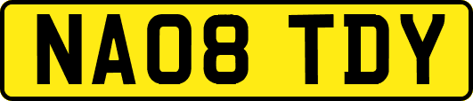 NA08TDY