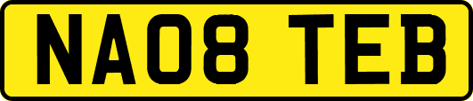 NA08TEB
