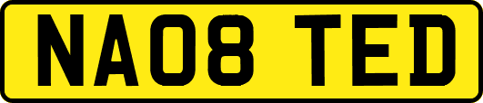 NA08TED