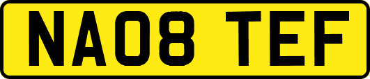 NA08TEF