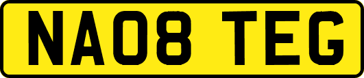 NA08TEG