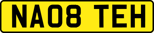 NA08TEH