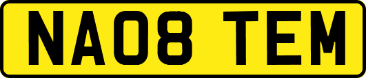 NA08TEM