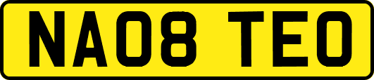 NA08TEO