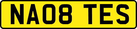 NA08TES
