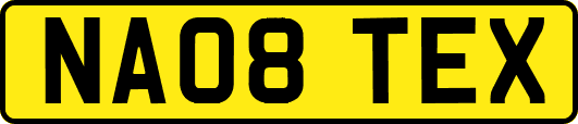 NA08TEX