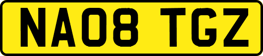NA08TGZ