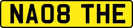 NA08THE
