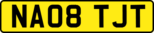 NA08TJT