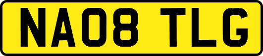 NA08TLG
