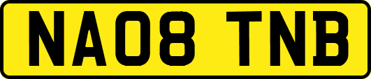 NA08TNB
