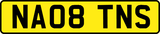 NA08TNS