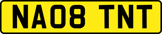 NA08TNT