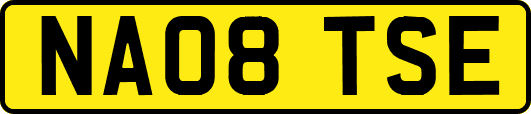 NA08TSE