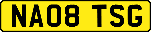 NA08TSG