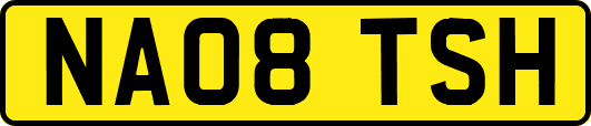 NA08TSH