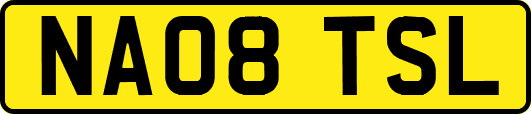 NA08TSL