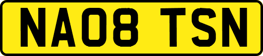 NA08TSN