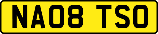 NA08TSO