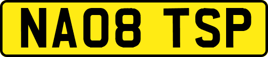 NA08TSP