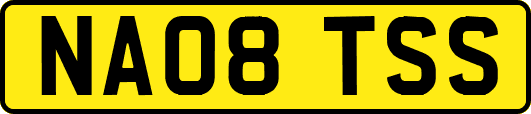 NA08TSS