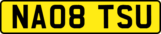 NA08TSU