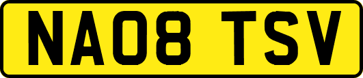 NA08TSV