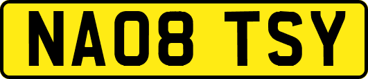 NA08TSY