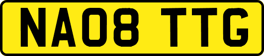 NA08TTG