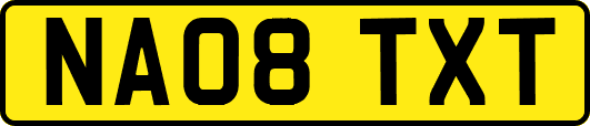 NA08TXT