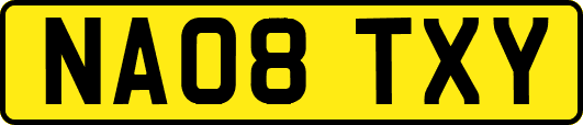 NA08TXY