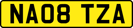 NA08TZA