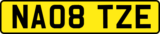 NA08TZE