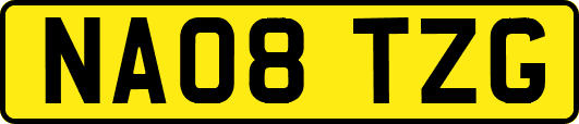 NA08TZG