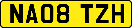 NA08TZH