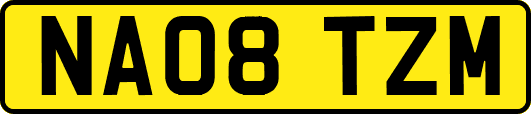 NA08TZM