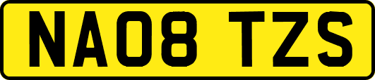 NA08TZS