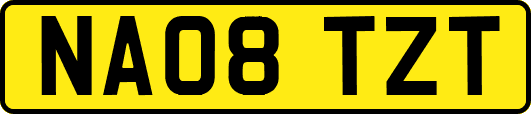 NA08TZT