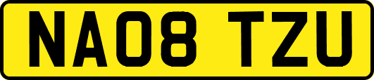 NA08TZU