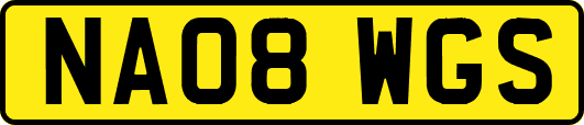 NA08WGS