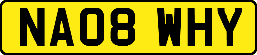 NA08WHY