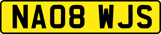 NA08WJS
