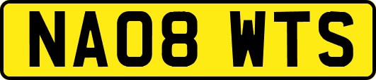 NA08WTS