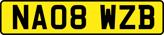 NA08WZB