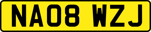 NA08WZJ