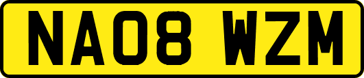 NA08WZM