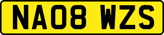 NA08WZS