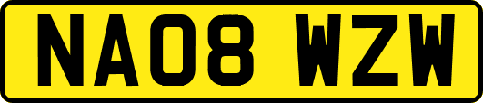 NA08WZW