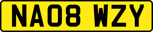NA08WZY