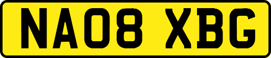 NA08XBG